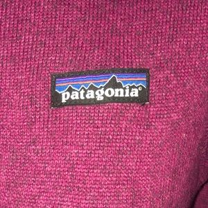 Patagonia Synchilla Fleece